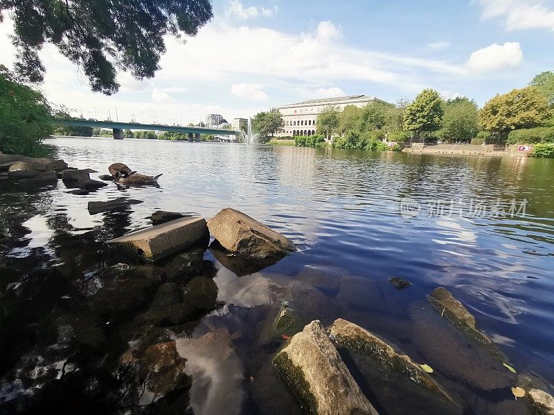 Stadthalle Mühlheim an der Ruhr被自然的永恒灰色所包围